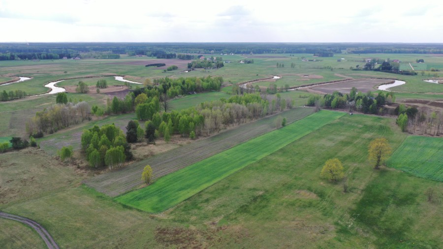 kolneński, Turośl, Cieciory, Urokliwa działka z warunkami zabudowy