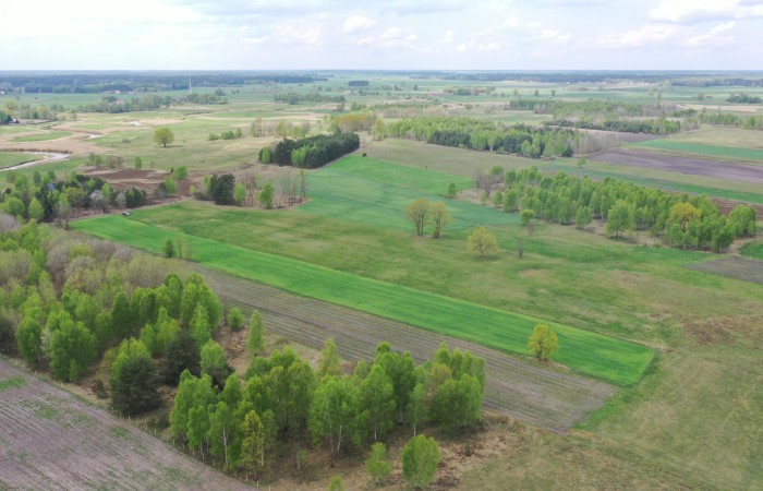 kolneński, Turośl, Cieciory, Urokliwa działka z warunkami zabudowy
