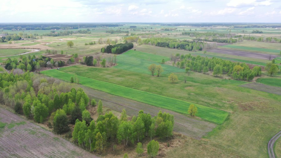kolneński, Turośl, Cieciory, Urokliwa działka z warunkami zabudowy