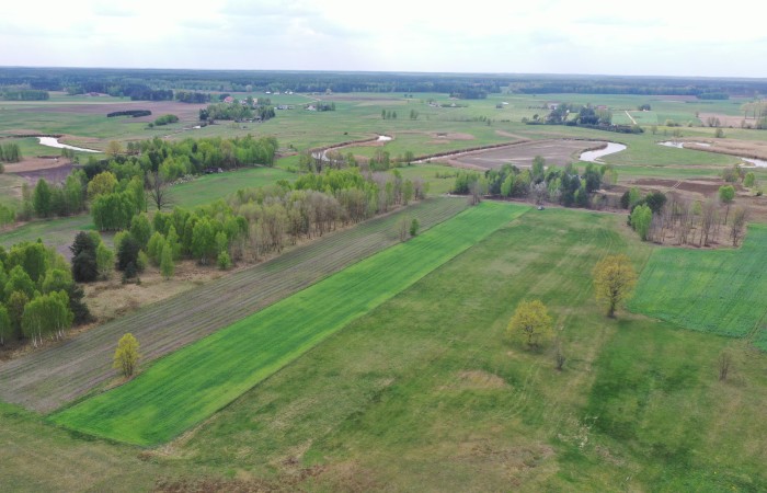 kolneński, Turośl, Cieciory, Urokliwa działka z warunkami zabudowy