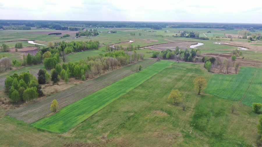 kolneński, Turośl, Cieciory, Urokliwa działka z warunkami zabudowy