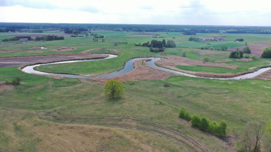 kolneński, Turośl, Cieciory, Urokliwa działka z warunkami zabudowy