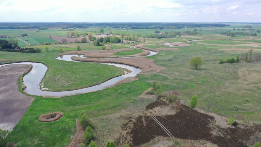 kolneński, Turośl, Cieciory, Urokliwa działka z warunkami zabudowy