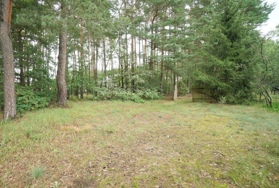 łomżyński, Zbójna, Kolonia Suchy Borek, Zielona enklawa w otulinie lasów