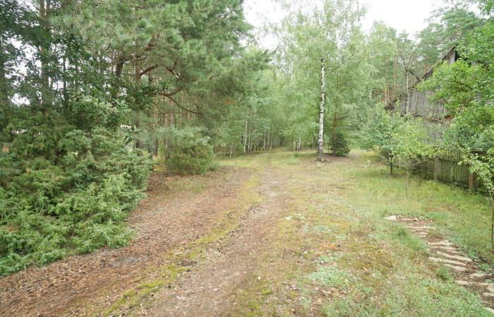 łomżyński, Zbójna, Kolonia Suchy Borek, Zielona enklawa w otulinie lasów
