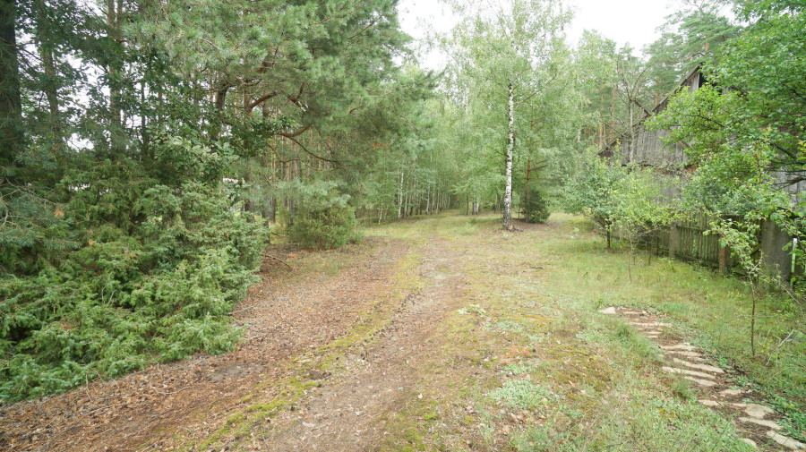 łomżyński, Zbójna, Kolonia Suchy Borek, Zielona enklawa w otulinie lasów