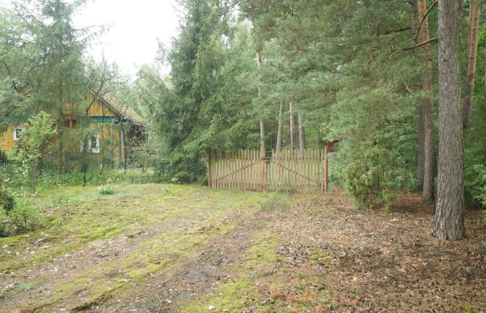 łomżyński, Zbójna, Kolonia Suchy Borek, Zielona enklawa w otulinie lasów