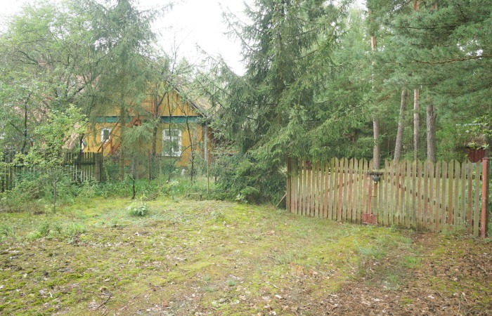 łomżyński, Zbójna, Kolonia Suchy Borek, Zielona enklawa w otulinie lasów