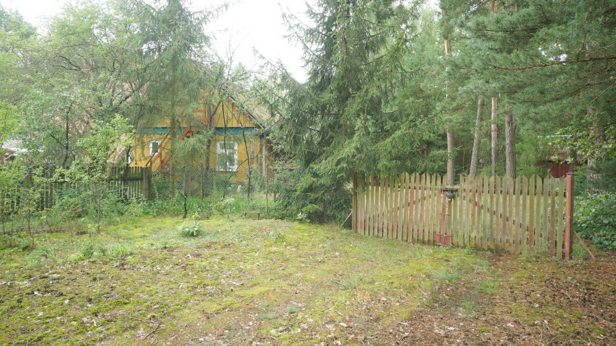 łomżyński, Zbójna, Kolonia Suchy Borek, Zielona enklawa w otulinie lasów