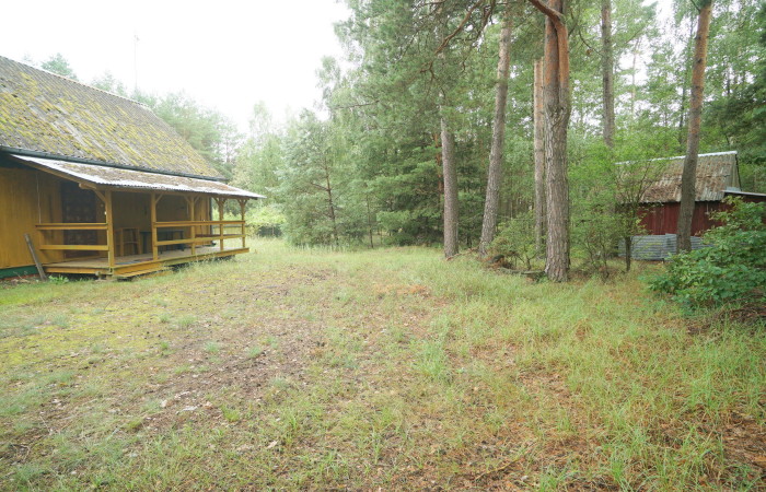 łomżyński, Zbójna, Kolonia Suchy Borek, Zielona enklawa w otulinie lasów