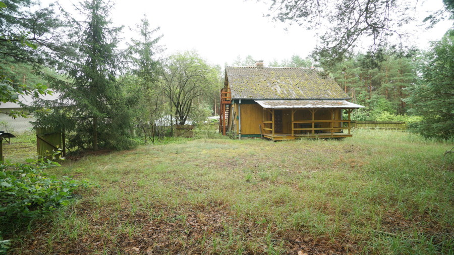 łomżyński, Zbójna, Kolonia Suchy Borek, Zielona enklawa w otulinie lasów