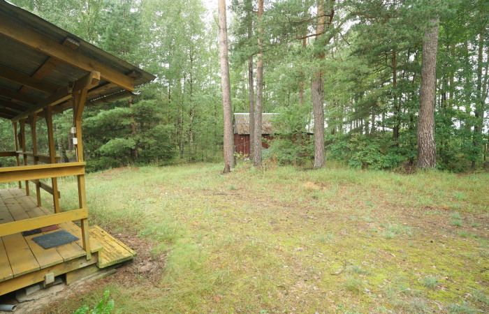 łomżyński, Zbójna, Kolonia Suchy Borek, Zielona enklawa w otulinie lasów