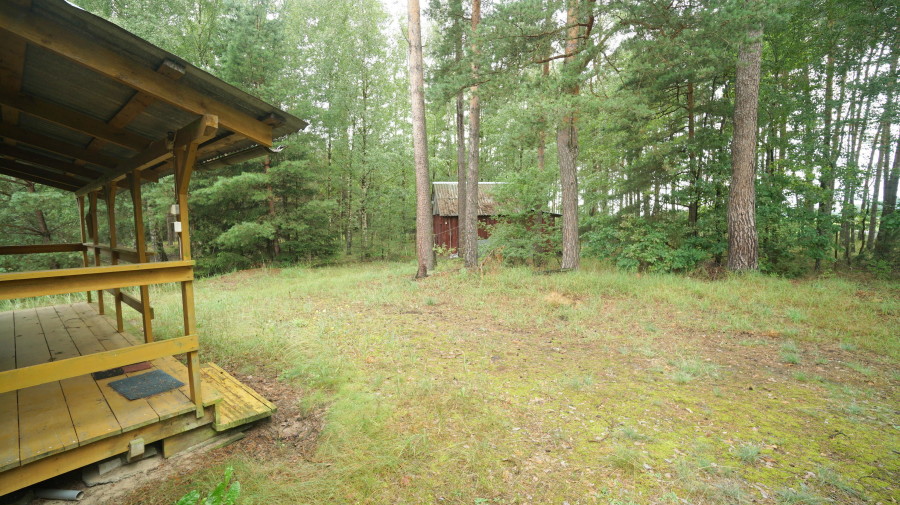 łomżyński, Zbójna, Kolonia Suchy Borek, Zielona enklawa w otulinie lasów