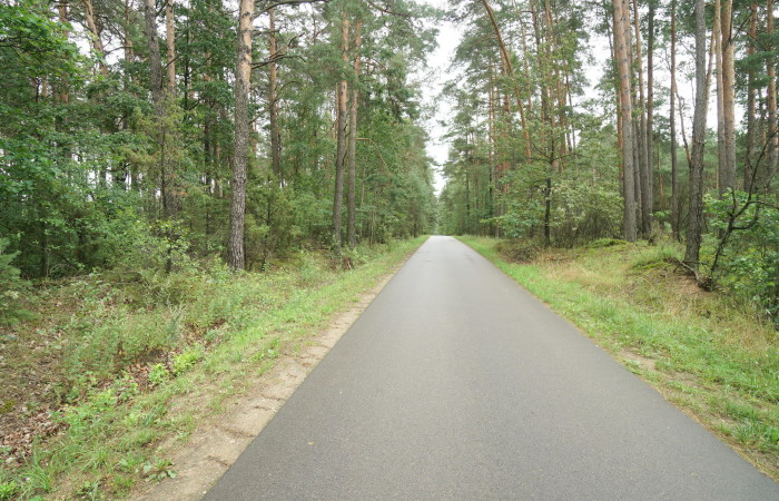 łomżyński, Zbójna, Kolonia Suchy Borek, Zielona enklawa w otulinie lasów
