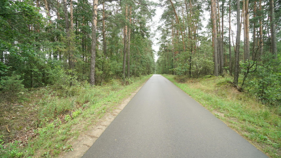 łomżyński, Zbójna, Kolonia Suchy Borek, Zielona enklawa w otulinie lasów