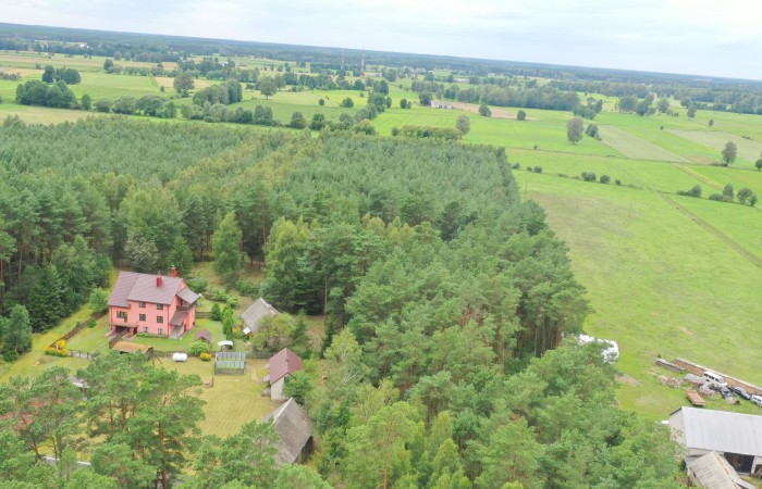 łomżyński, Zbójna, Kolonia Suchy Borek, Zielona enklawa w otulinie lasów