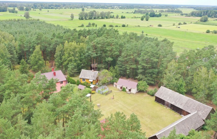 łomżyński, Zbójna, Kolonia Suchy Borek, Zielona enklawa w otulinie lasów