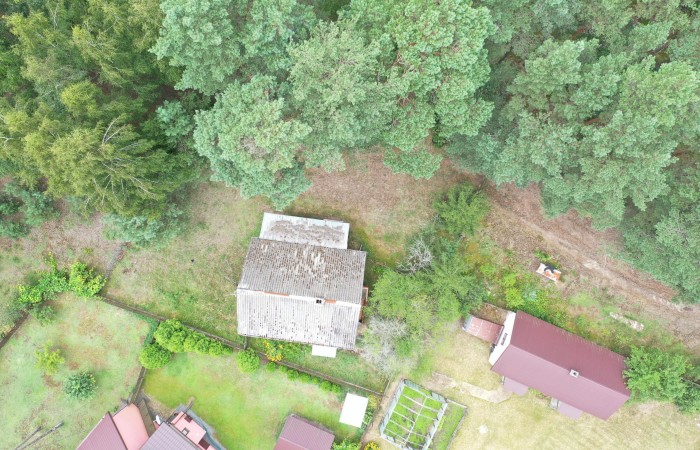 łomżyński, Zbójna, Kolonia Suchy Borek, Zielona enklawa w otulinie lasów