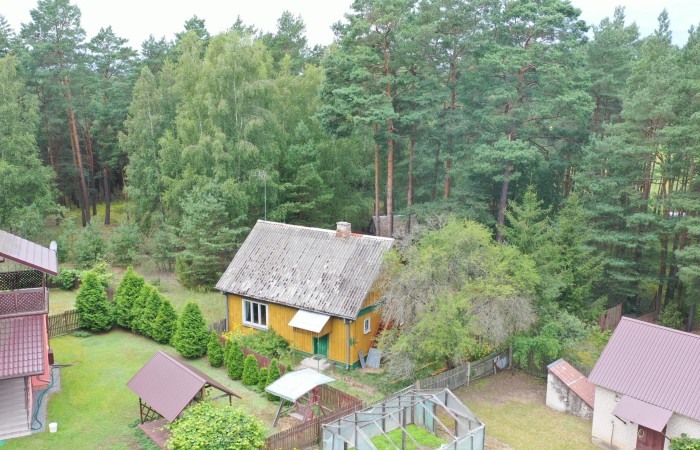 łomżyński, Zbójna, Kolonia Suchy Borek, Zielona enklawa w otulinie lasów