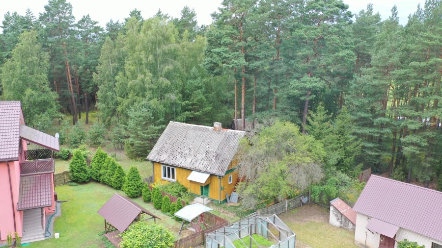 łomżyński, Zbójna, Kolonia Suchy Borek, Zielona enklawa w otulinie lasów