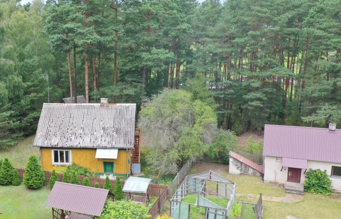 łomżyński, Zbójna, Kolonia Suchy Borek, Zielona enklawa w otulinie lasów