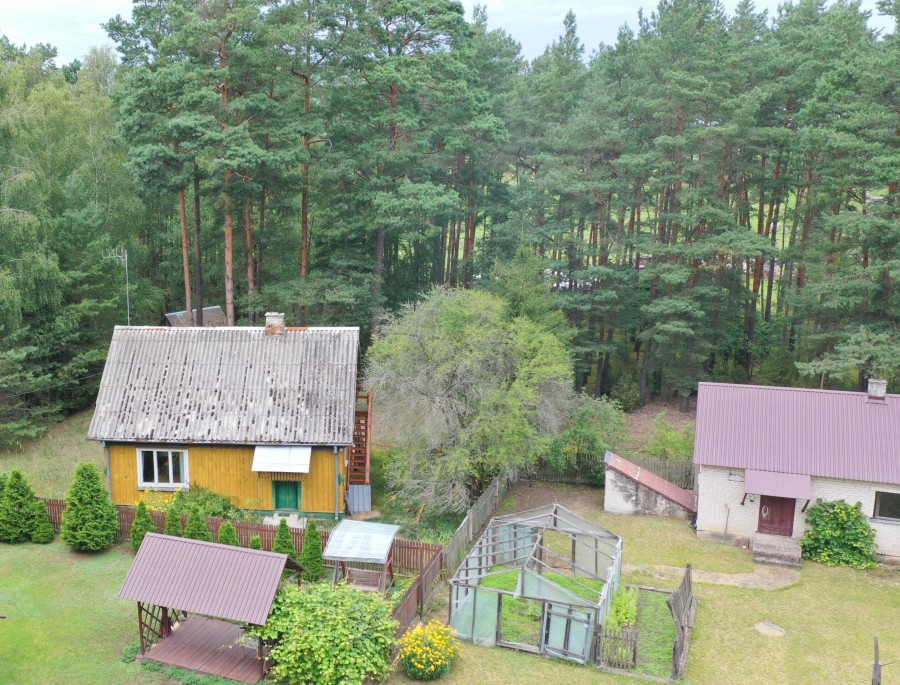 łomżyński, Zbójna, Kolonia Suchy Borek, Zielona enklawa w otulinie lasów