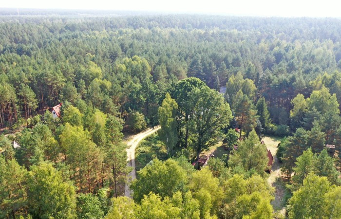 łomżyński, Nowogród, Baliki, Działka rekeacyjna w środku lasu blisko rzeki Baliki gm Nowogród