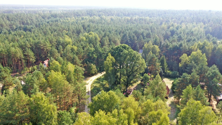 łomżyński, Nowogród, Baliki, Działka rekeacyjna w środku lasu blisko rzeki Baliki gm Nowogród