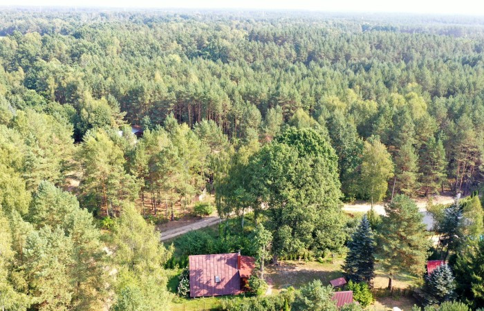 łomżyński, Nowogród, Baliki, Działka rekeacyjna w środku lasu blisko rzeki Baliki gm Nowogród