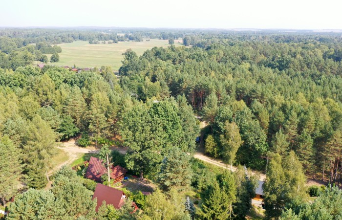 łomżyński, Nowogród, Baliki, Działka rekeacyjna w środku lasu blisko rzeki Baliki gm Nowogród