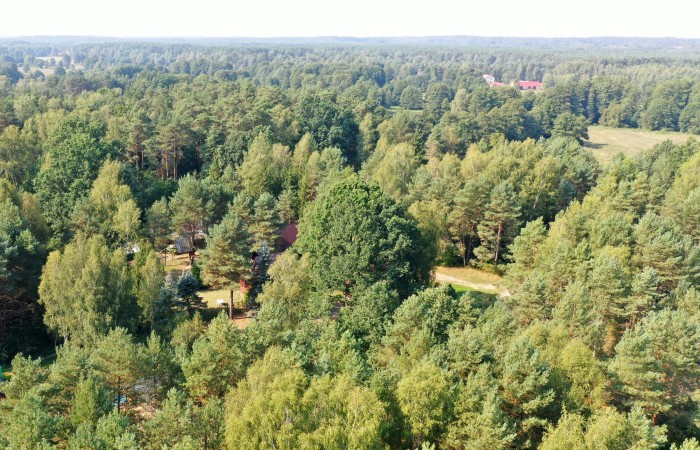 łomżyński, Nowogród, Baliki, Działka rekeacyjna w środku lasu blisko rzeki Baliki gm Nowogród