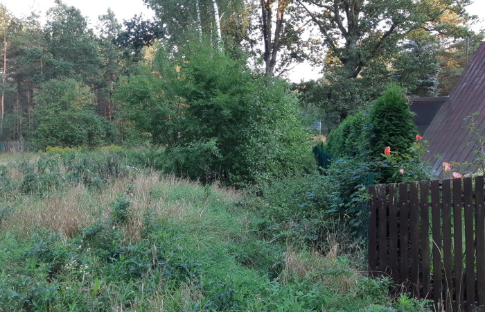 łomżyński, Nowogród, Baliki, Działka rekeacyjna w środku lasu blisko rzeki Baliki gm Nowogród