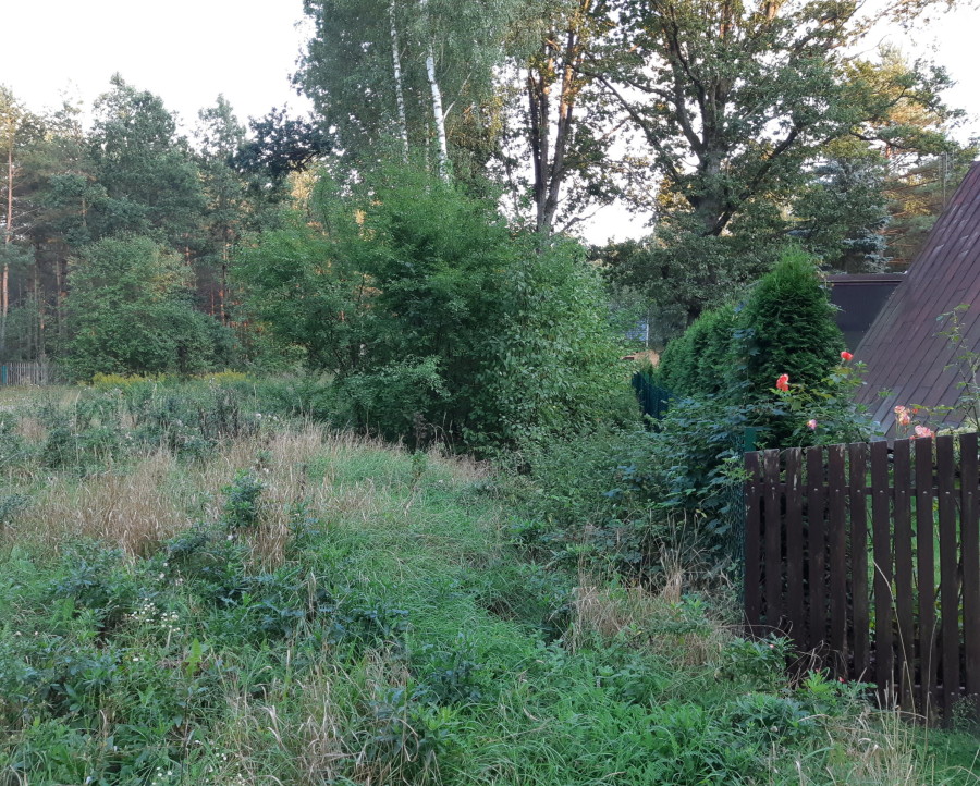 łomżyński, Nowogród, Baliki, Działka rekeacyjna w środku lasu blisko rzeki Baliki gm Nowogród