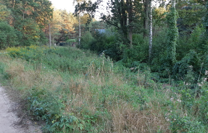 łomżyński, Nowogród, Baliki, Działka rekeacyjna w środku lasu blisko rzeki Baliki gm Nowogród