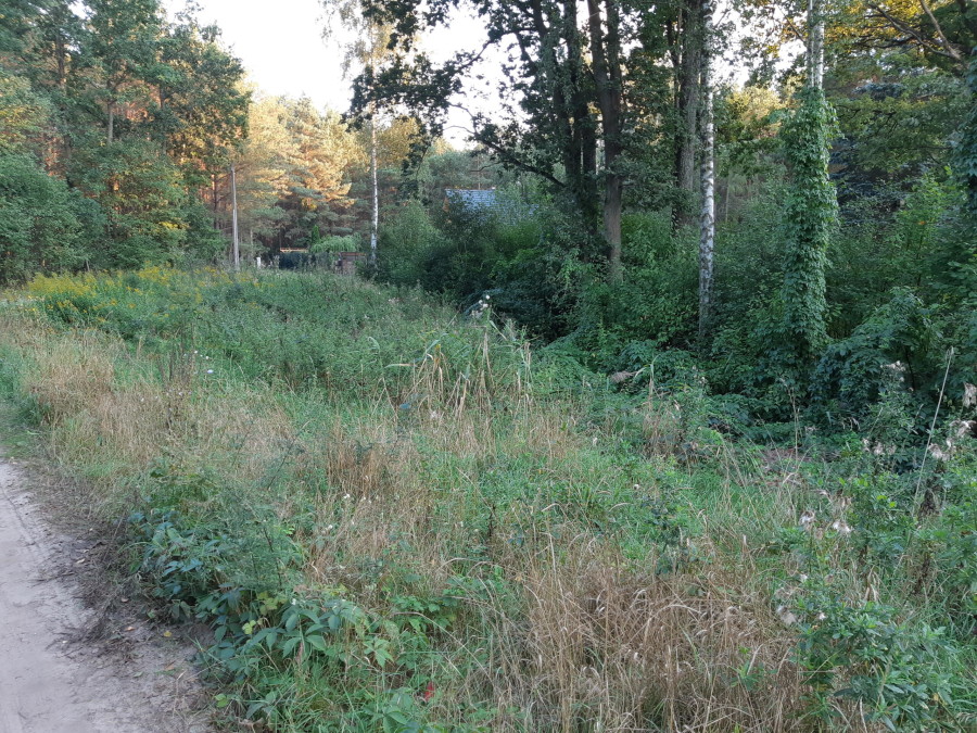 łomżyński, Nowogród, Baliki, Działka rekeacyjna w środku lasu blisko rzeki Baliki gm Nowogród