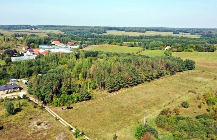 węgorzewski, Węgorzewo, Ogonki, Działka bud Ogonki gm Węgorzewo