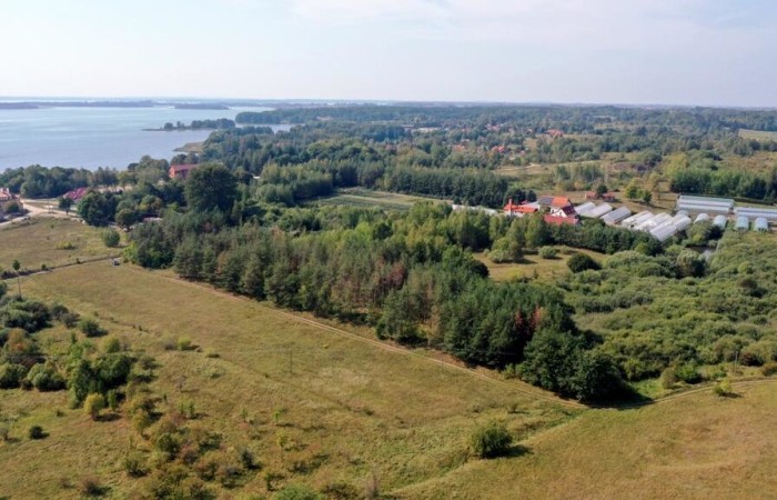 węgorzewski, Węgorzewo, Ogonki, Działka bud Ogonki gm Węgorzewo