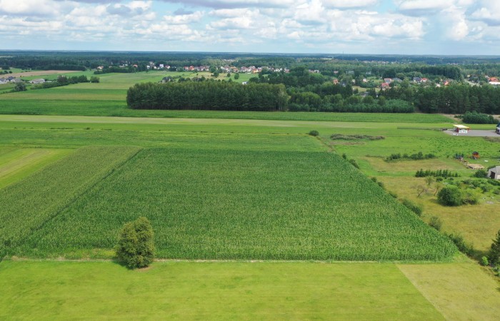 ostrołęcki, Kadzidło, al. Warszawska, Cudowna działka na peryferiach Kadzidła