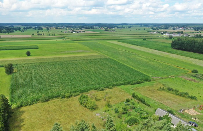 ostrołęcki, Kadzidło, al. Warszawska, Cudowna działka na peryferiach Kadzidła