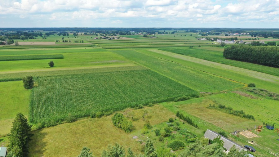 ostrołęcki, Kadzidło, al. Warszawska, Cudowna działka na peryferiach Kadzidła
