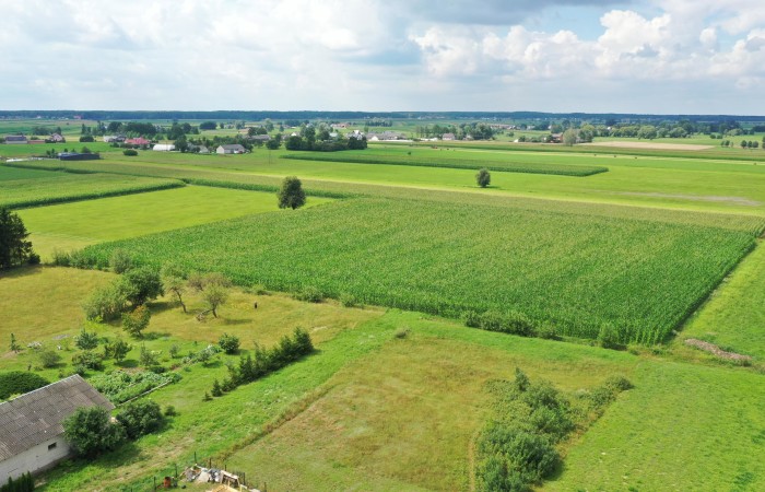 ostrołęcki, Kadzidło, al. Warszawska, Cudowna działka na peryferiach Kadzidła
