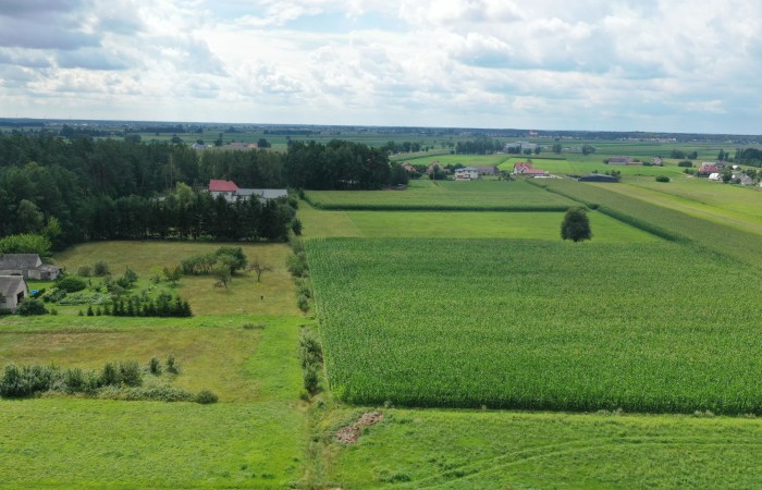 ostrołęcki, Kadzidło, al. Warszawska, Cudowna działka na peryferiach Kadzidła