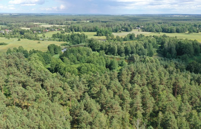 łomżyński, Zbójna, Jurki, Urokliwa działka leśna nad rzeką Pisą w super cenie!