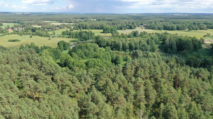 łomżyński, Zbójna, Jurki, Urokliwa działka leśna nad rzeką Pisą w super cenie!