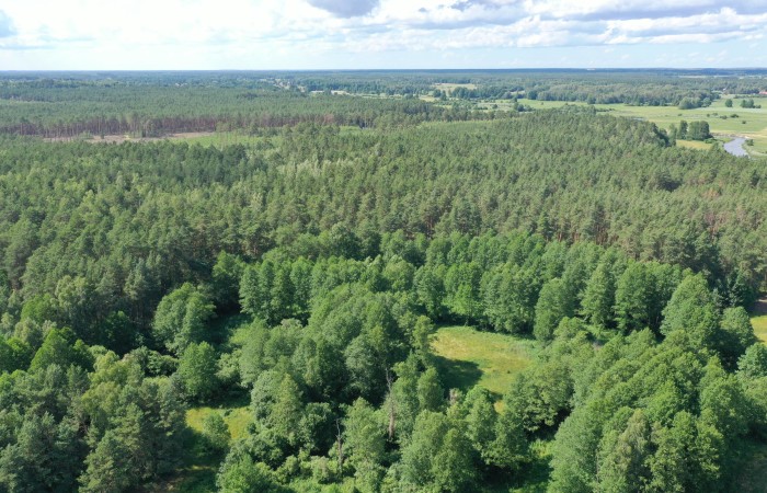 łomżyński, Zbójna, Jurki, Urokliwa działka leśna nad rzeką Pisą w super cenie!