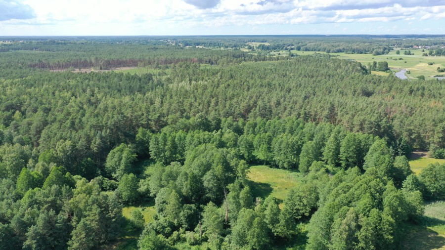 łomżyński, Zbójna, Jurki, Urokliwa działka leśna nad rzeką Pisą w super cenie!