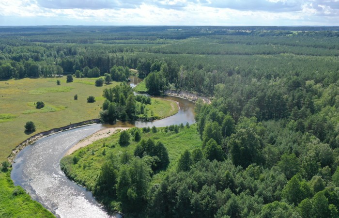łomżyński, Zbójna, Jurki, Urokliwa działka leśna nad rzeką Pisą w super cenie!