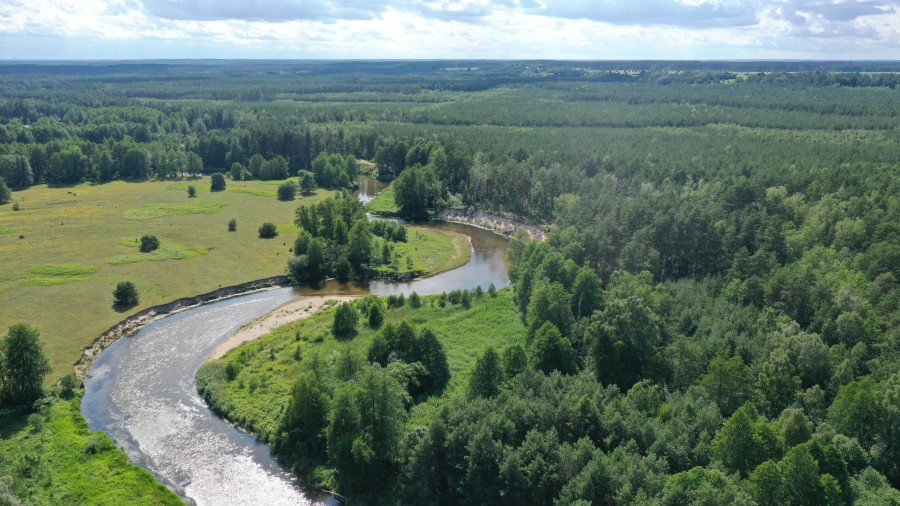 łomżyński, Zbójna, Jurki, Urokliwa działka leśna nad rzeką Pisą w super cenie!