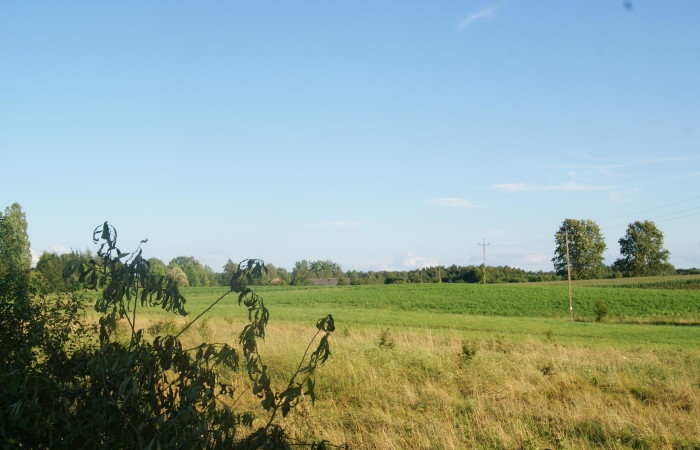 mrągowski, Sorkwity, Kozłowo, Zostań Lordem Kozłowa – Działka na Mazurach Czeka na Ciebie!