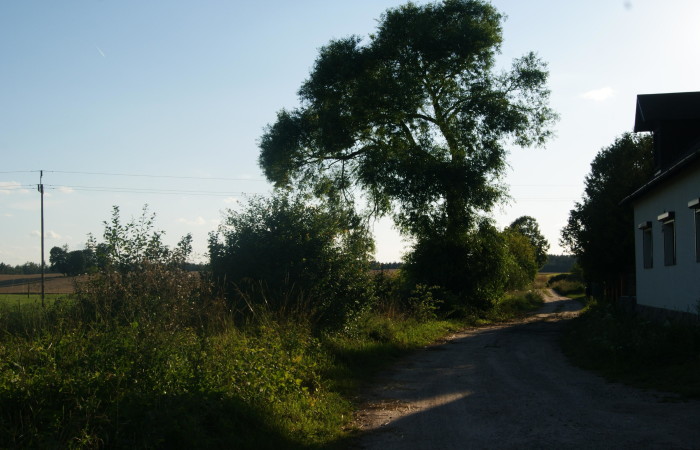 mrągowski, Sorkwity, Kozłowo, Zostań Lordem Kozłowa – Działka na Mazurach Czeka na Ciebie!